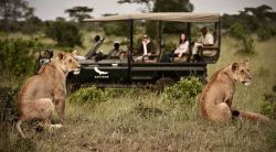 Tansania-Serengeti-Kleins-Camp
